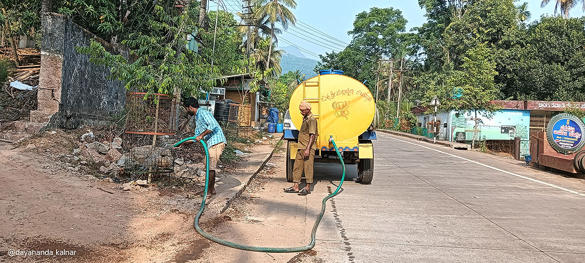 ಸುಬ್ರಹ್ಮಣ್ಯದಲ್ಲಿ ಗಿಡಗಳಿಗೆ ಟ್ಯಾಂಕರ್ ಮೂಲಕ ನೀರು ಹಾಕಲಾಗುತ್ತಿರುವುದು