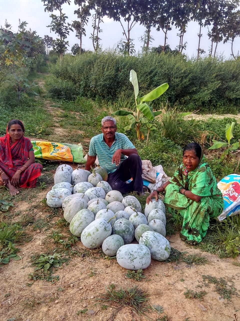 ಬೂದುಗುಂಬಳ ಫಸಲಿನೊಂದೊಗೆ ಧಾರವಾಡದ ಹಳ್ಳಿಗೇರಿಯ ರೈತ ಆರ್‌.ಜಿ.ತಿಮ್ಮಾಪುರ