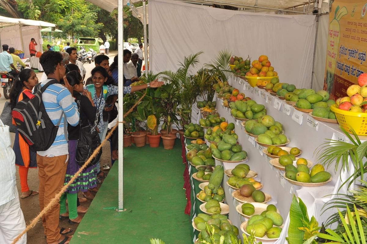 2018ರಲ್ಲಿ ನಡೆದ ಮಾವು ಮೇಳ (ಸಂಗ್ರಹ ಚಿತ್ರ)