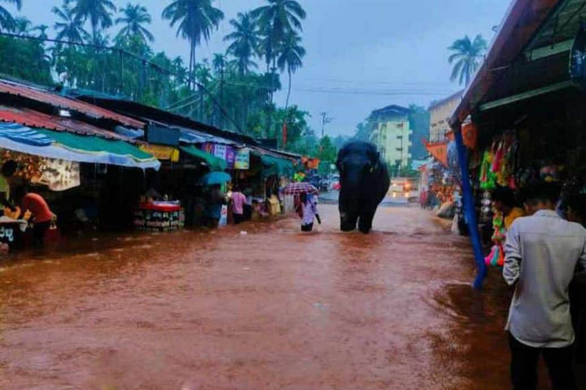 ಆದಿ ಸುಬ್ರಹ್ಮಣ್ಯ ಬಳಿ ಜಲಾವೃತವಾಗಿದ್ದ ರಸ್ತೆಯಲ್ಲಿ ಕುಕ್ಕೆ ಸುಬ್ರಹ್ಮಣ್ಯ ದೇವಸ್ಥಾನದ ಆನೆಯನ್ನು ಕರೆತರಲಾಯಿತು