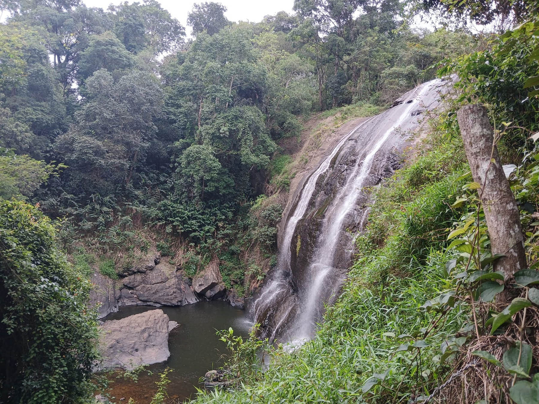 ನಾಪೋಕ್ಲು ಸಮೀಪದ ಚೇಲಾವರದ ಜಲಪಾತ ನಿಧಾನವಾಗಿ ಮೈದುಂಬಿಕೊಳ್ಳುತ್ತಿದೆ