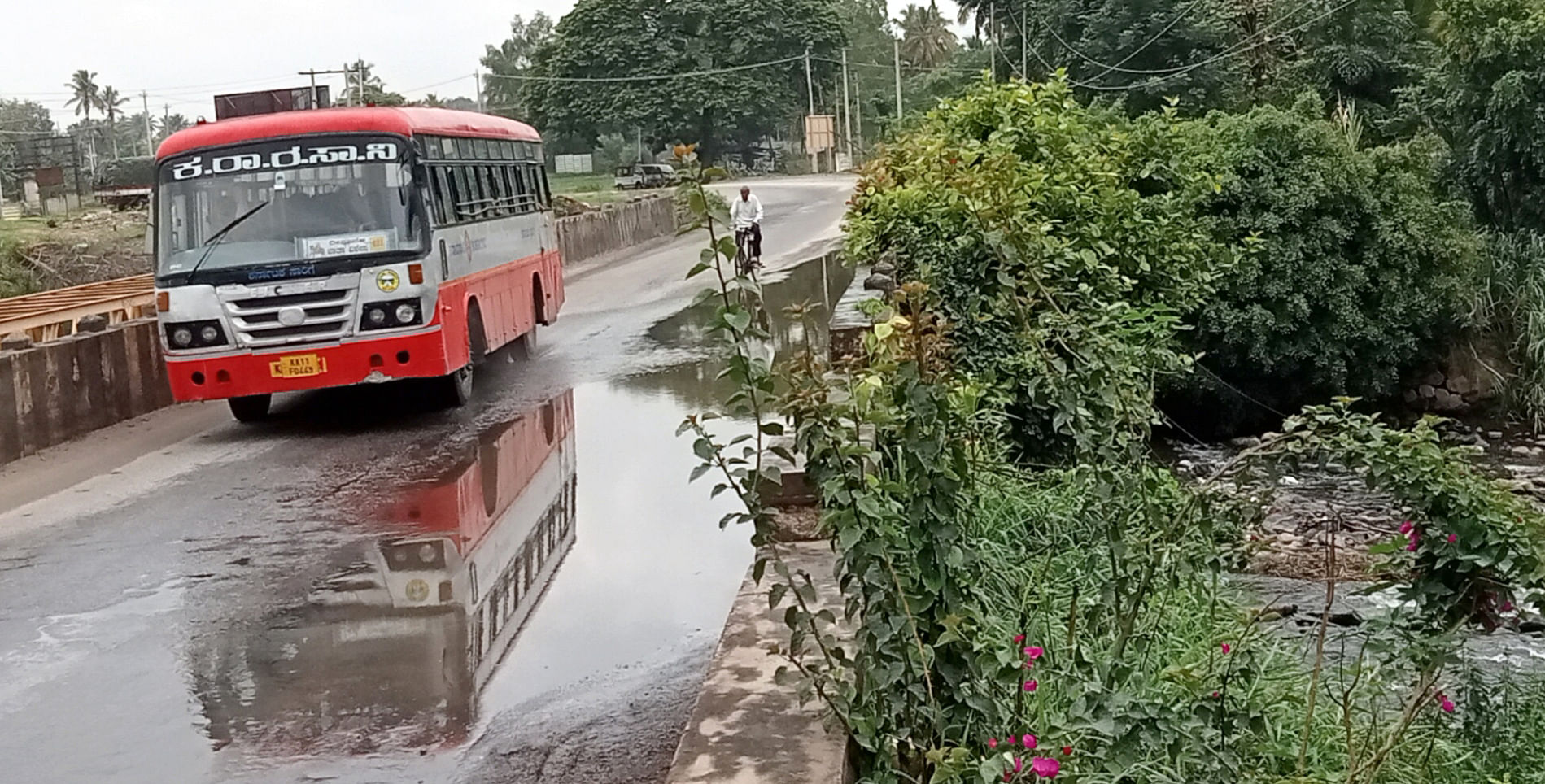 ಬೆಂಗಳೂರು– ಮೈಸೂರು ರಾಷ್ಟ್ರೀಯ ಹೆದ್ದಾರಿ–275ರಲ್ಲಿ ಎರಡೂ ನಗರಗಳ ಪ್ರಮುಖ ಸಂಪರ್ಕ ಕೊಂಡಿಯಾಗಿರುವ, ತಾಲ್ಲೂಕಿನ ಬಾಬುರಾಯನಕೊಪ್ಪಲು ಬಳಿಯ ಲೋಕಪಾವನಿ ನದಿ ಸೇತುವೆಯ ಎಡ ಪಾರ್ಶ್ವದ ತಡೆ ಗೋಡೆಯ ಮೇಲೆ ಮರಗಳು ಬೆಳೆಯುತ್ತಿರುವುದು