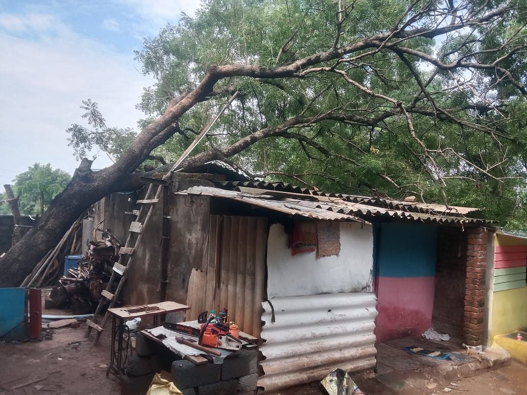 ಹುಬ್ಬಳ್ಳಿಯಲ್ಲಿ ಶನಿವಾರ ರಾತ್ರಿ ಸುರಿದ ಗಾಳಿ ಸಹಿತ ಮಳೆಯಿಂದ ಗಂಗಾಧರ ನಗರದ ರತ್ನವ್ವ ಸಂಕನಾಳ ಅವರ ಮನೆಮೇಲೆ ಮರವೊಂದು ಉರುಳಿ ಬಿದ್ದಿತ್ತು