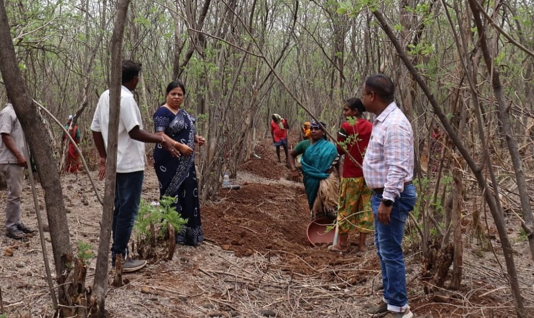 ಔರಾದ್ ತಾಲ್ಲೂಕಿನ ಖಾನಾಪುರ ಅರಣ್ಯ ಪ್ರದೇಶದಲ್ಲಿ ನಡೆಯುತ್ತಿರುವ ನರೇಗಾ ಕಾಮಗಾರಿಯನ್ನು ಜಿಲ್ಲಾ ಪಂಚಾಯತ್ ಉಪ ಕಾರ್ಯದರ್ಶಿ ಬಿ.ಎಂ. ಸವಿತಾ ಪರಿಶೀಲಿಸಿದರು