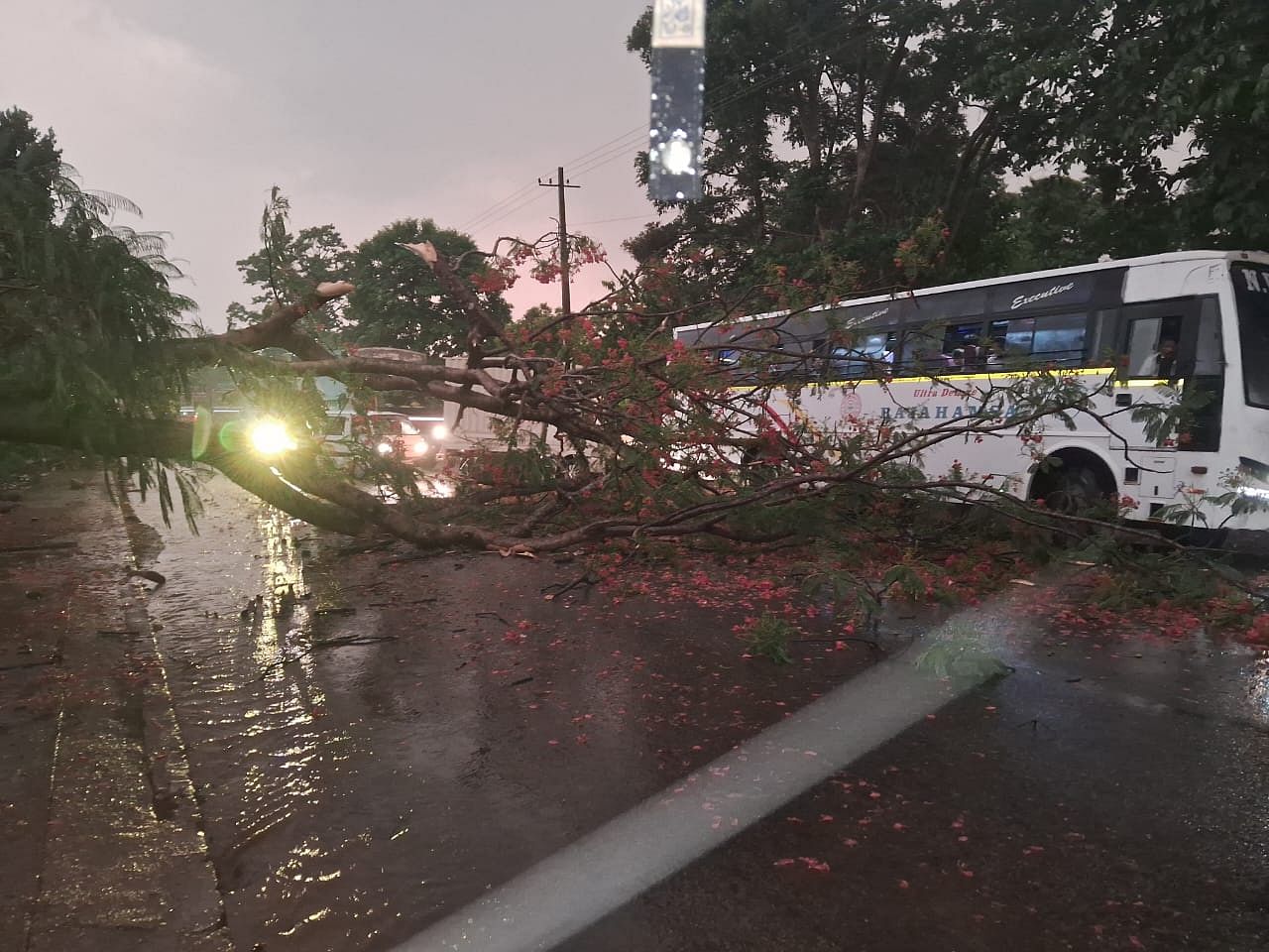 ತಾಲ್ಲೂಕಿನ ರಾಮನಗರದಲ್ಲಿ ಬುಧವಾರ ರಾತ್ರಿ ಸುರಿದ ಮಳೆಗೆ ರಾಜ್ಯ ಹೆದ್ದಾರಿಯ ಮೇಲೆ ಮರವೊಂದು ಉರುಳಿ ಬಿದ್ದು ಸಂಚಾರ ಸಮಸ್ಯೆ ಉಂಟಾಗಿತ್ತು.