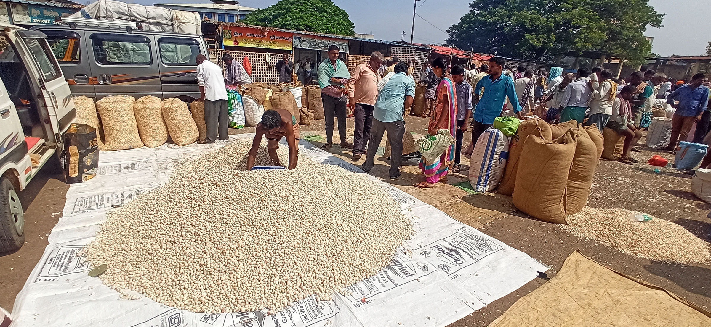 ರಾಣೆಬೆನ್ನೂರಿನ ಎಪಿಎಂಸಿ ಉಪಪ್ರಾಂಗಣದಲ್ಲಿ ಭಾನುವಾರ ಮುಂಗಾರು ಹಂಗಾಮಿಗೆ ಬಿತ್ತನೆ ಮಾಡಲು ಬೆಳ್ಳುಳ್ಳಿ ಬೀಜದ ವ್ಯಾಪಾರ ವಹಿವಾಟು ಜೋರಾಗಿದ್ದು ಕಂಡು ಬಂದಿತು. 