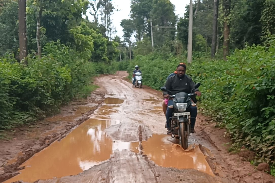 ಕುರುಬತ್ತೂರು ಗ್ರಾಮ ಪಂಚಾಯಿತಿ ವ್ಯಾಪ್ತಿಯಲ್ಲಿ ಇರುವ ಕಾಮನಹಳ್ಳಿ, ಬರಲುಕೆರೆ, ಹೊಂಬೆಟ್ಟ ಗ್ರಾಮಗಳ ರಸ್ತೆ ಹದಗೆಟ್ಟಿದೆ.