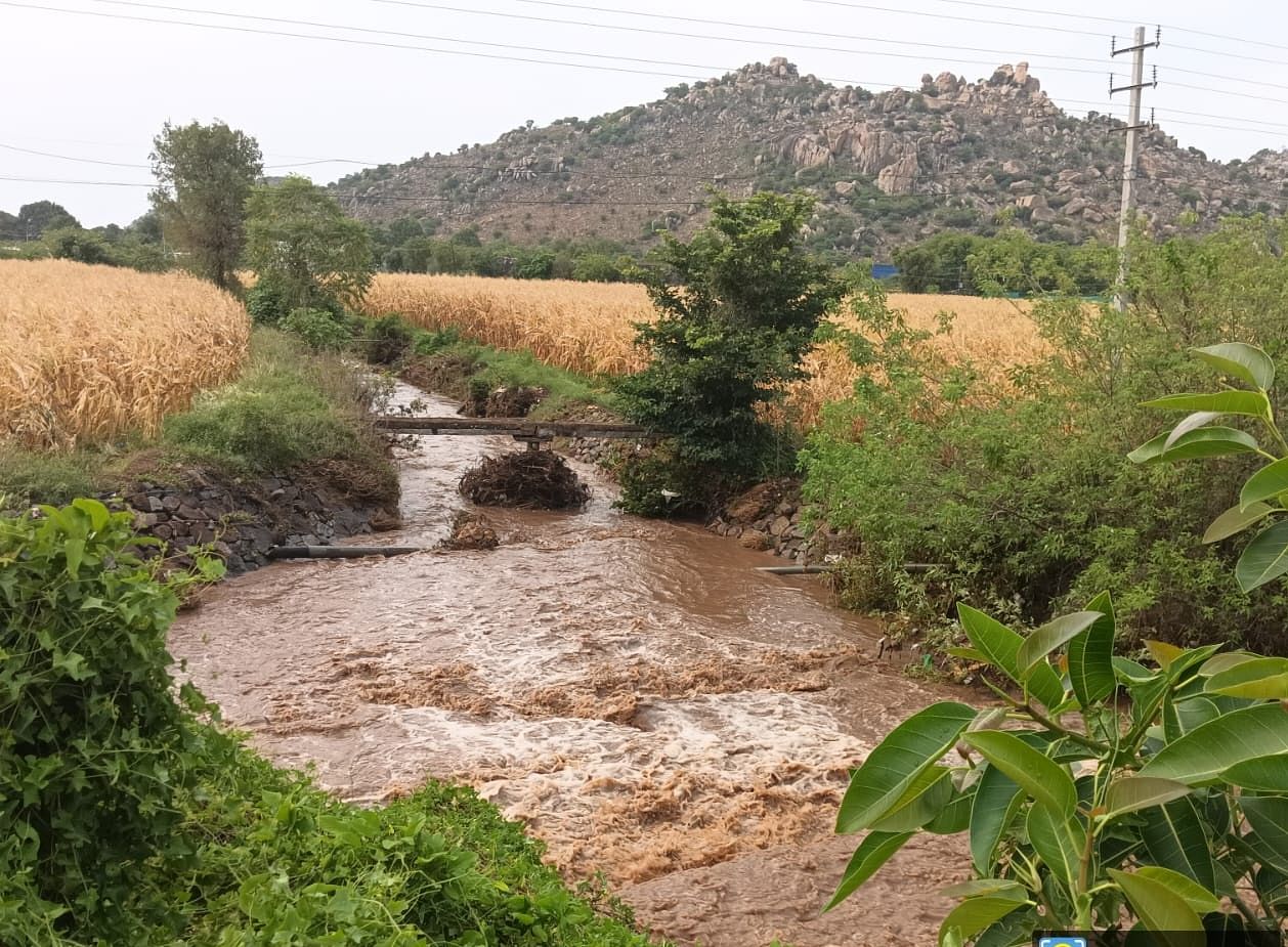 ಮೊಳಕಾಲ್ಮುರು ಸಮೀಪದ ರಾಂಪುರ ಸಮೀಪದ ಗುಂಡರಹಳ್ಳ ತುಂಬಿ ಹರಿದಿದೆ