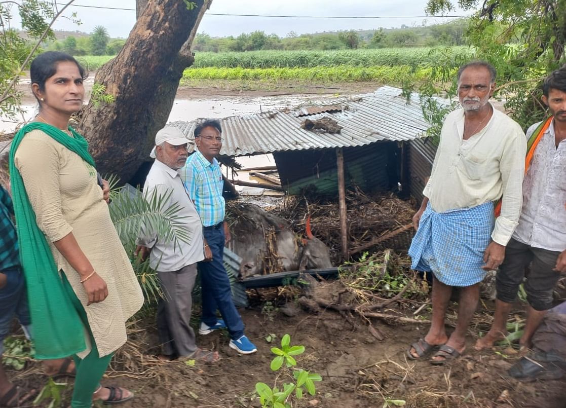 ಕಮಲಾಪುರ ಸಮೀಪದ ಕಮಲಾನಗರ ಗ್ರಾಮದ ಜಮೀನಿನಲ್ಲಿ ಪ್ರವಾಹಕ್ಕೆ ಸಿಲುಕಿ ಜೋಡೆತ್ತು ಮೃತಪಟ್ಟಿದ್ದು ಅಧಿಕಾರಿಗಳು ಭೇಟಿ ನೀಡಿ ಪರಿಶೀಲಿಸಿದರು