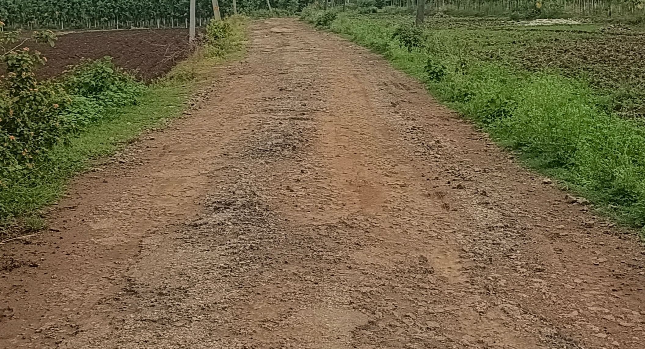 ಕುಂಸಿಯಿಂದ ರೆಚಿಕೊಪ್ಪ ಹೋಗುವ ರಸ್ತೆ ಡಾಂಬರೀಕರಣ ಸಂಪೂರ್ಣ ಕಿತ್ತು ಹೋಗಿರುವುದು