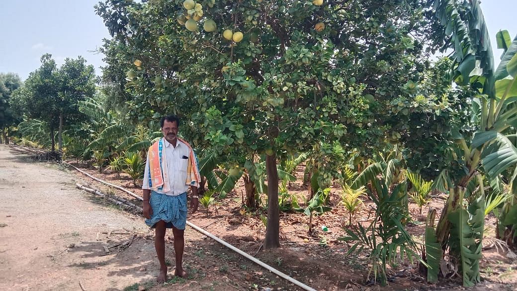 ತಮ್ಮ ಜಮೀನಿನಲ್ಲಿ ಕುರೂಡಿ ಗ್ರಾಮದ ಜಗದೀಶ್