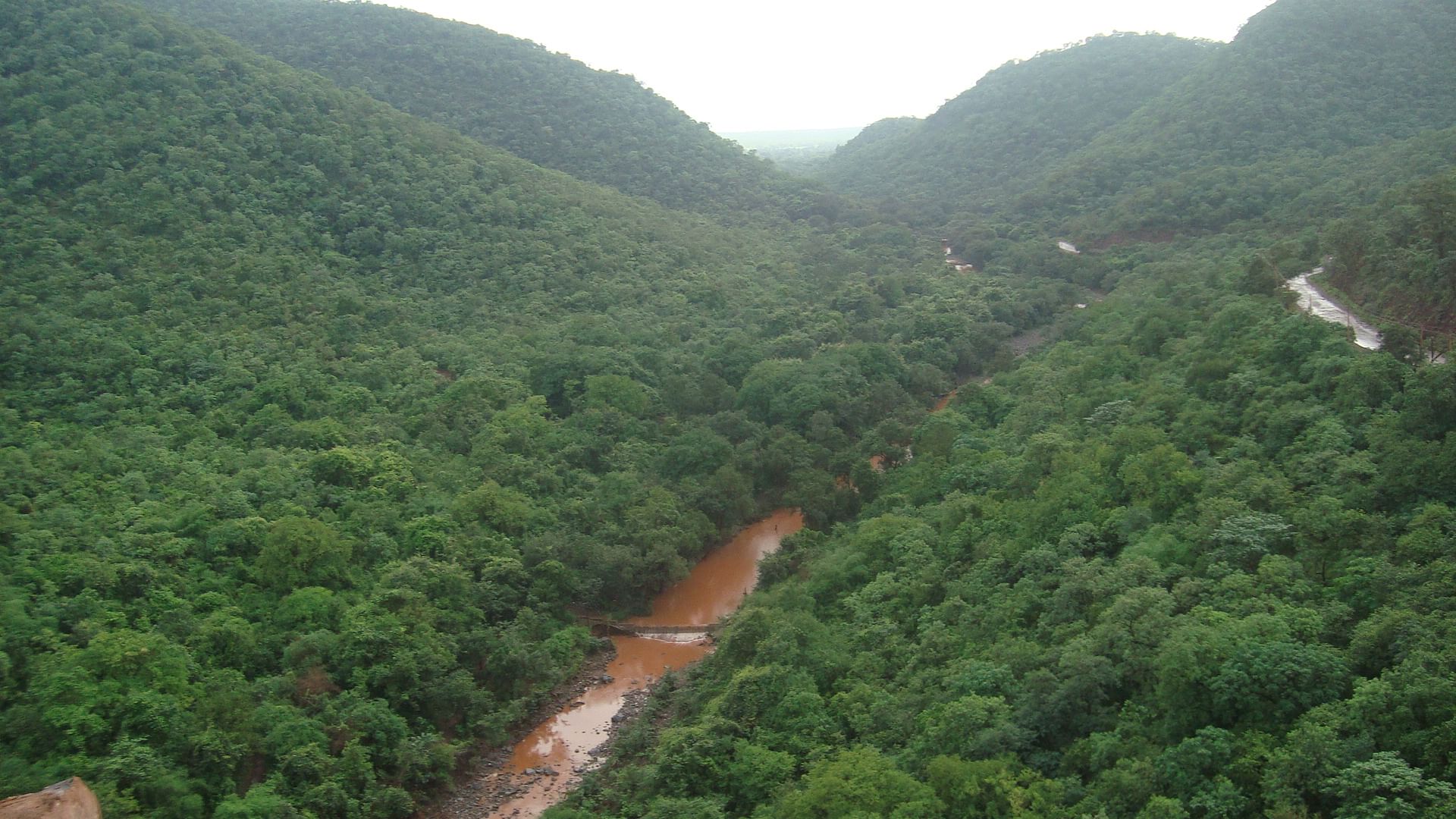 ಸಂಡೂರಿನ ಅರಣ್ಯ ಪ್ರದೇಶ