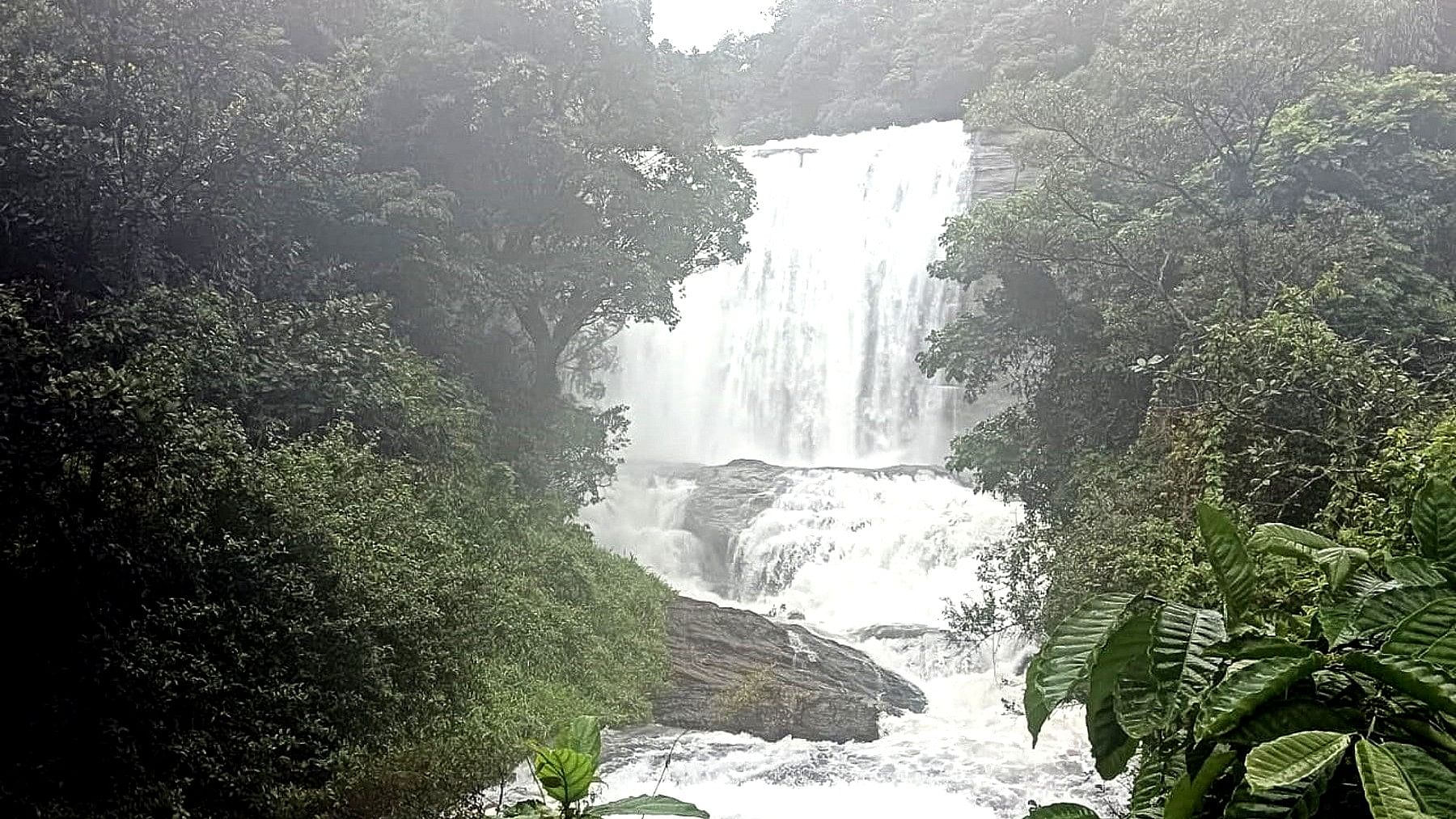 ಶ್ವೇತ ವೈಭವದಿಂದ ಕಂಗೊಳಿಸುವ ಚೇಲಾವರ ಜಲಪಾತ