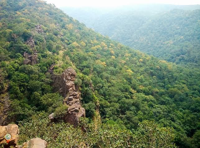 ಸಂಡೂರು ತಾಲೂಕಿನ ಸ್ವಾಮಿಮಲೈ ವಲಯದ ‘ಹದ್ದಿನಪಡೆ’ ಬ್ಲಾಕ್‌ನ ದಟ್ಟ ಅರಣ್ಯ