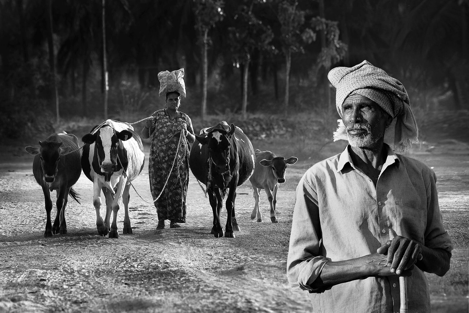 ಶಾರಿಕಾ ವಿ ಅವರು ಸೆರೆ ಹಿಡಿದ ಛಾಯಾಚಿತ್ರ.