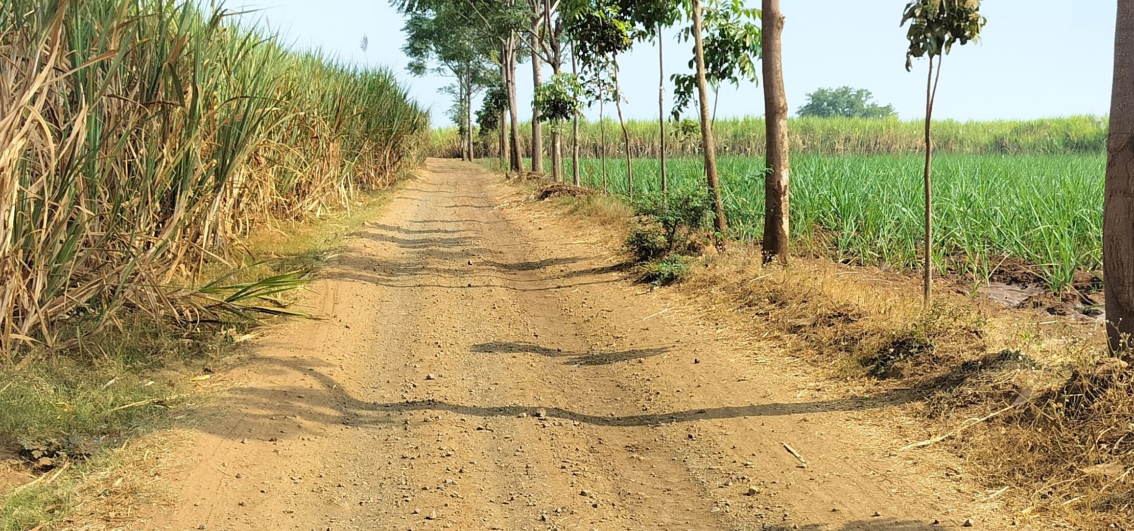 ಗುಳೇದಗುಡ್ಡ ಸಂಪರ್ಕಿಸುವ ನಿಂಬಲಗುಂದಿ ಐಹೊಳೆ ಕೂಡು ರಸ್ತೆ ಮಾರ್ಗ