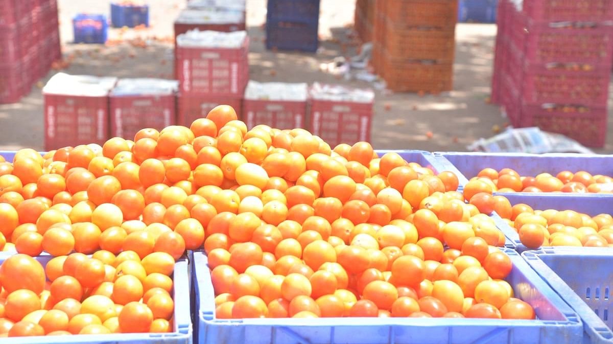 ಕೋಲಾರ ಎಪಿಎಂಸಿಯಲ್ಲಿ ಟೊಮೆಟೊ ಮಾರಾಟ