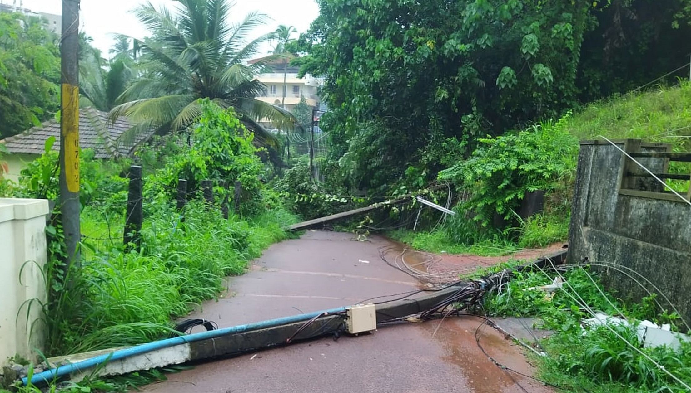 ಮಂಗಳೂರಿನ ಹೊರವಲಯದ ಪಡೀಲ್‌ನಲ್ಲಿ ಭಾರಿ ಮಳೆಗೆ ಪ್ರಶಾಂತ್‌ಬಾಗ್‌– ಕೆಂಬಾರ್‌ ರಸ್ತೆಯಲ್ಲಿ ಸೋಮವಾರ ವಿದ್ಯುತ್ ಕಂಬಗಳು ನೆಲಕ್ಕುರುಳಿವೆ