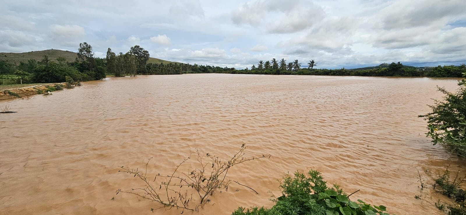 ಚಿಕ್ಕಮಗಳೂರು ತಾಲ್ಲೂಕಿನ ಹೊಸಕೋಟೆ ಕೆರೆ ಒಂದೇ ಮಳೆಗೆ ಭರ್ತಿಯಾಗಿರುವುದು