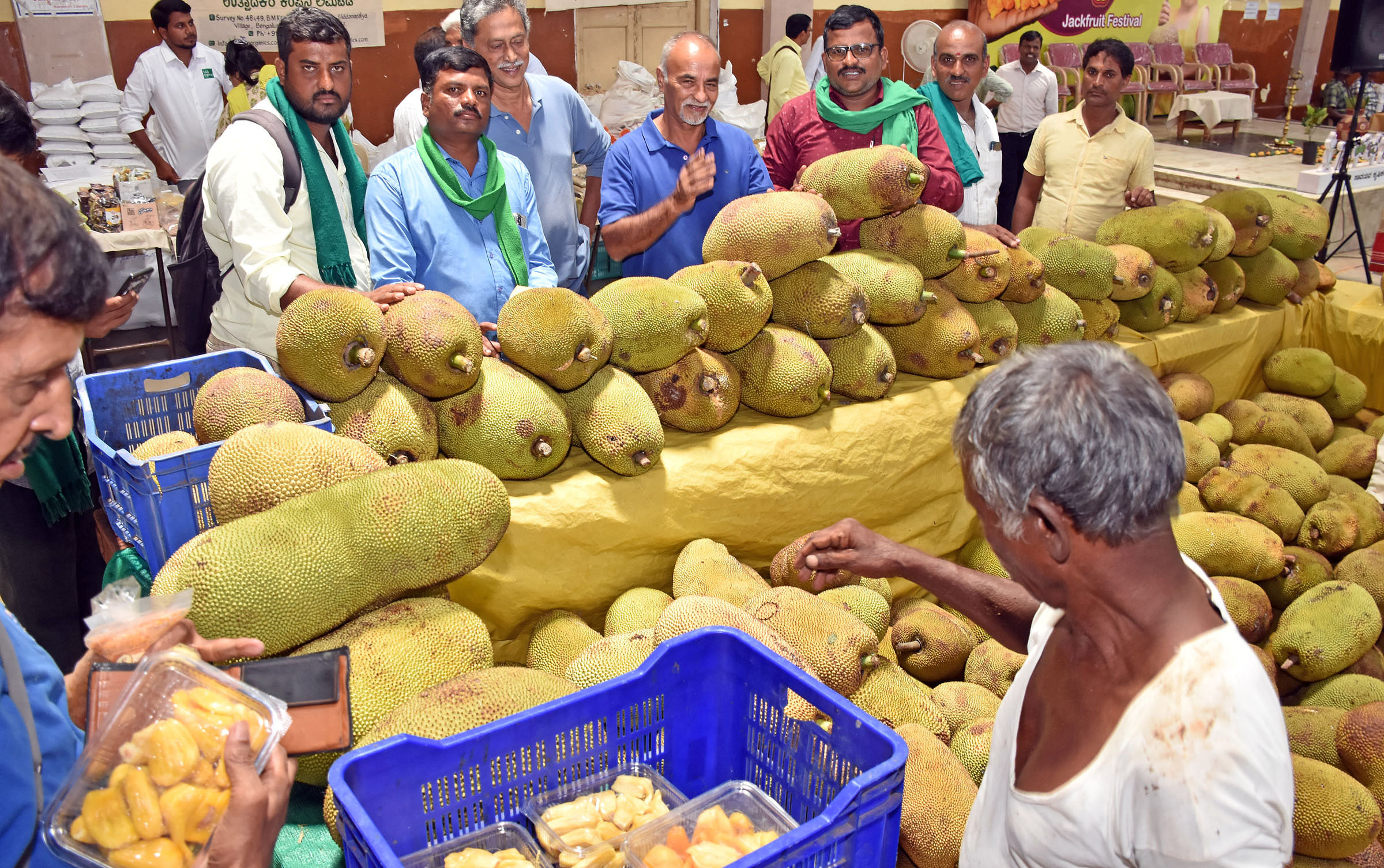 ಮೈಸೂರಿನ ನಂಜರಾಜ ಛತ್ರದಲ್ಲಿ ಸಹಜ ಸಮೃದ್ಧ ಸಂಸ್ಥೆ ಹಾಗೂ ರೋಟರಿ ಕ್ಲಬ್‌ ಮೈಸೂರು ಪಶ್ಚಿಮವು ಆಯೋಜಿಸಿರುವ ಹಲಸಿನ ಹಬ್ಬದಲ್ಲಿ ಗ್ರಾಹಕರು ಹಲಸು ಖರೀದಿಯಲ್ಲಿ ತೊಡಗಿರುವುದು