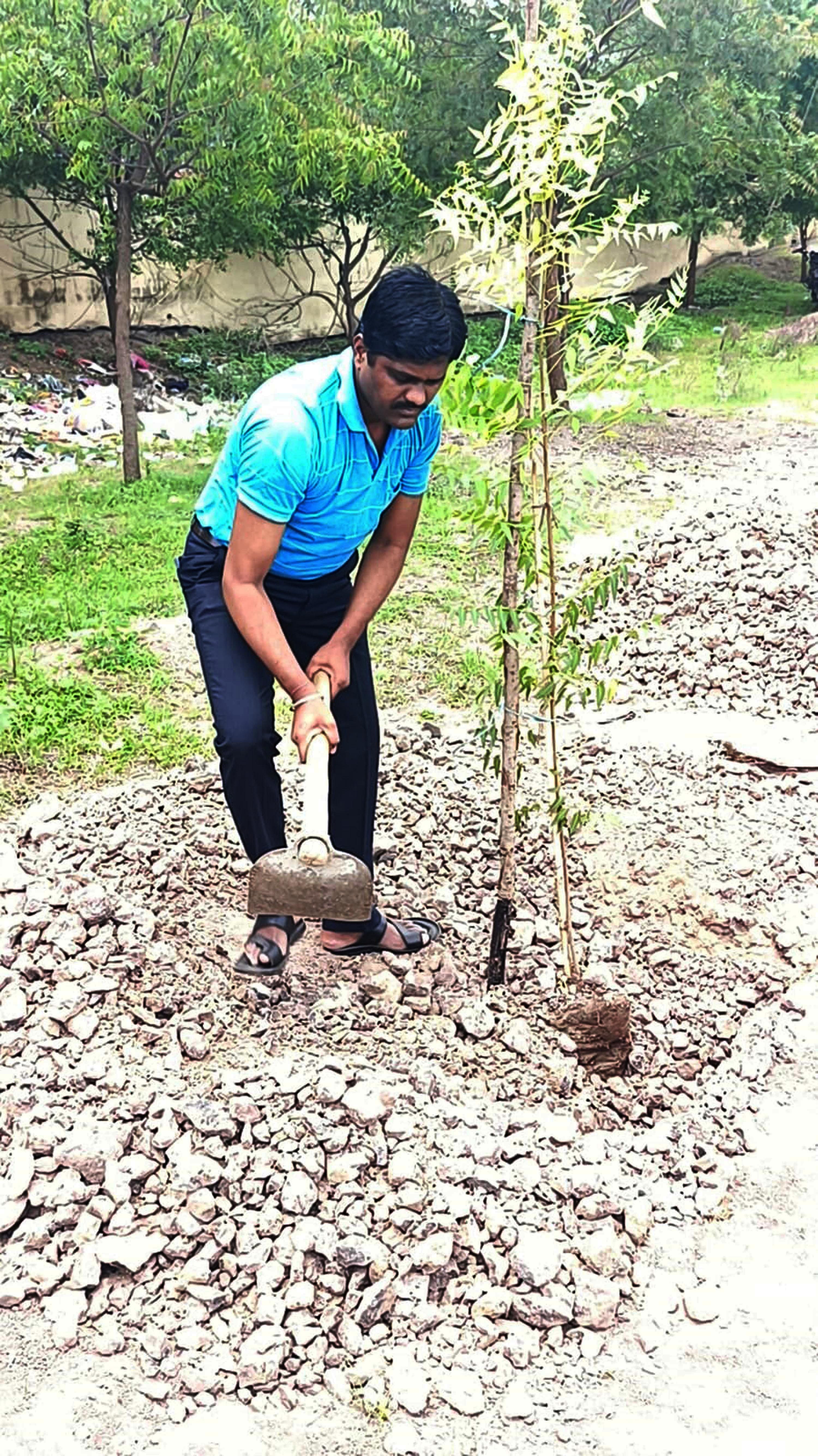 ಸಿಂದಗಿ ತಹಶೀಲ್ದಾರ್‌ ಪ್ರದೀಪಕುಮಾರ ಹಿರೇಮಠ ಪಟ್ಟಣದ ಕಲ್ಯಾಣ ಕರ್ನಾಟಕ ಸಾರಿಗೆ ಸಂಸ್ಥೆಯ ಘಟಕದ ಸಿಬ್ಬಂದಿ ಕ್ವಾರ್ಟರ್ಸ್ ಆವರಣದಲ್ಲಿ ಶನಿವಾರ ಸಸಿಗಳನ್ನು ನೆಟ್ಟರು.