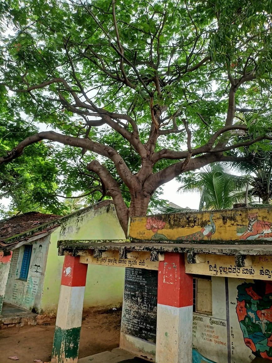 ಪಾವಗಡ ತಾಲ್ಲೂಕು ಉದ್ದಂಡಪ್ಪನ ಪಾಳ್ಯ ಶಾಲೆ ಕಟ್ಟಡ ಸಂಪೂರ್ಣ ಶಿಥಿಲಗೊಂಡಿದೆ