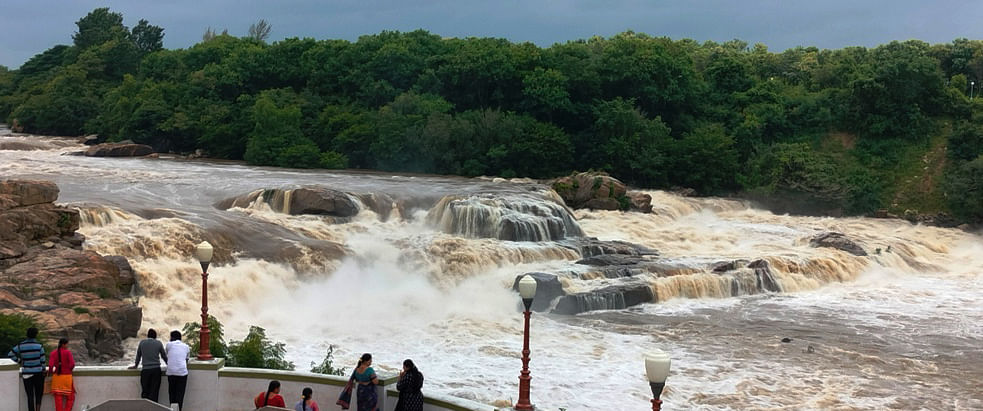 ಸಾಲಿಗ್ರಾಮ ತಾಲ್ಲೂಕಿನ ಚುಂಚನಕಟ್ಟೆ ಗ್ರಾಮದ ಹೊರವಲಯದಲ್ಲಿ ಮೈದುಂಬಿ ಹರಿಯುವ ಕಾವೇರಿ ‘‘ ಧನುಷ್ಕೋಟಿ‍’’ ಜಲಪಾತದಲ್ಲಿ ಧುಮ್ಮಿಕ್ಕುತ್ತಿರುವ ರಮಣೀಯ ದೃಶ್ಯ