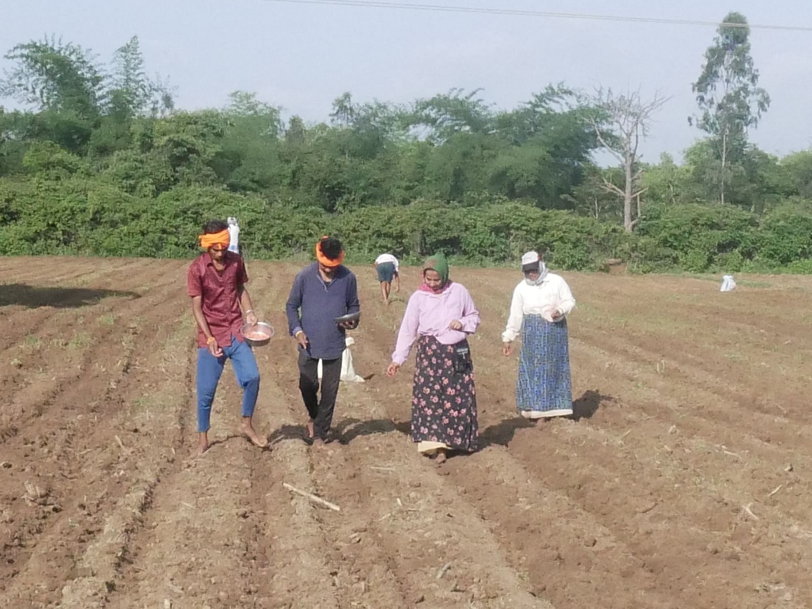 ಶಿವಮೊಗ್ಗ ತಾಲ್ಲೂಕಿನ ಕುಂಸಿ ಬಳಿ ಕೃಷಿ ಕಾರ್ಮಿಕರು ಮೆಕ್ಕೆಜೋಳ ಬಿತ್ತನೆಯಲ್ಲಿ ತೊಡಗಿದ್ದ ನೋಟ