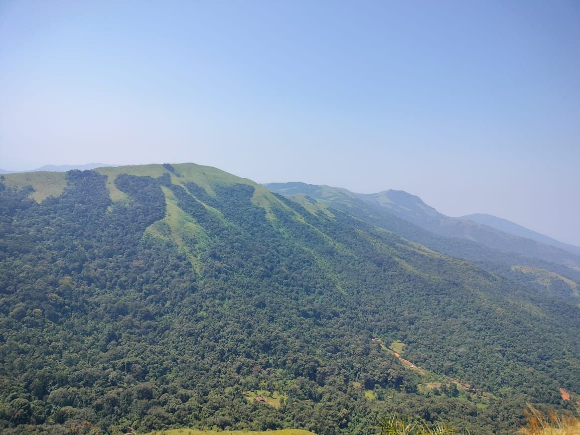 ಗಾಂಜಾ ಬೆಳೆಯಲು ಪೂರಕವಾಗಿದೆ ಎನ್ನಲಾದ ಶರಾವತಿ ಕಣಿವೆಯ ಮರಾಠಿ ಗ್ರಾಮದ ಗುಡ್ಡ ಪ್ರದೇಶ