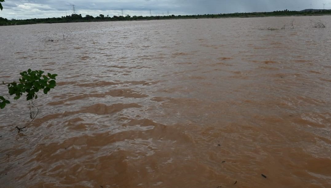 ಚಳ್ಳಕೆರೆ ತಾಲ್ಲೂಕಿನ ನನ್ನಿವಾಳ ಗ್ರಾಮದ ಕೆರೆ