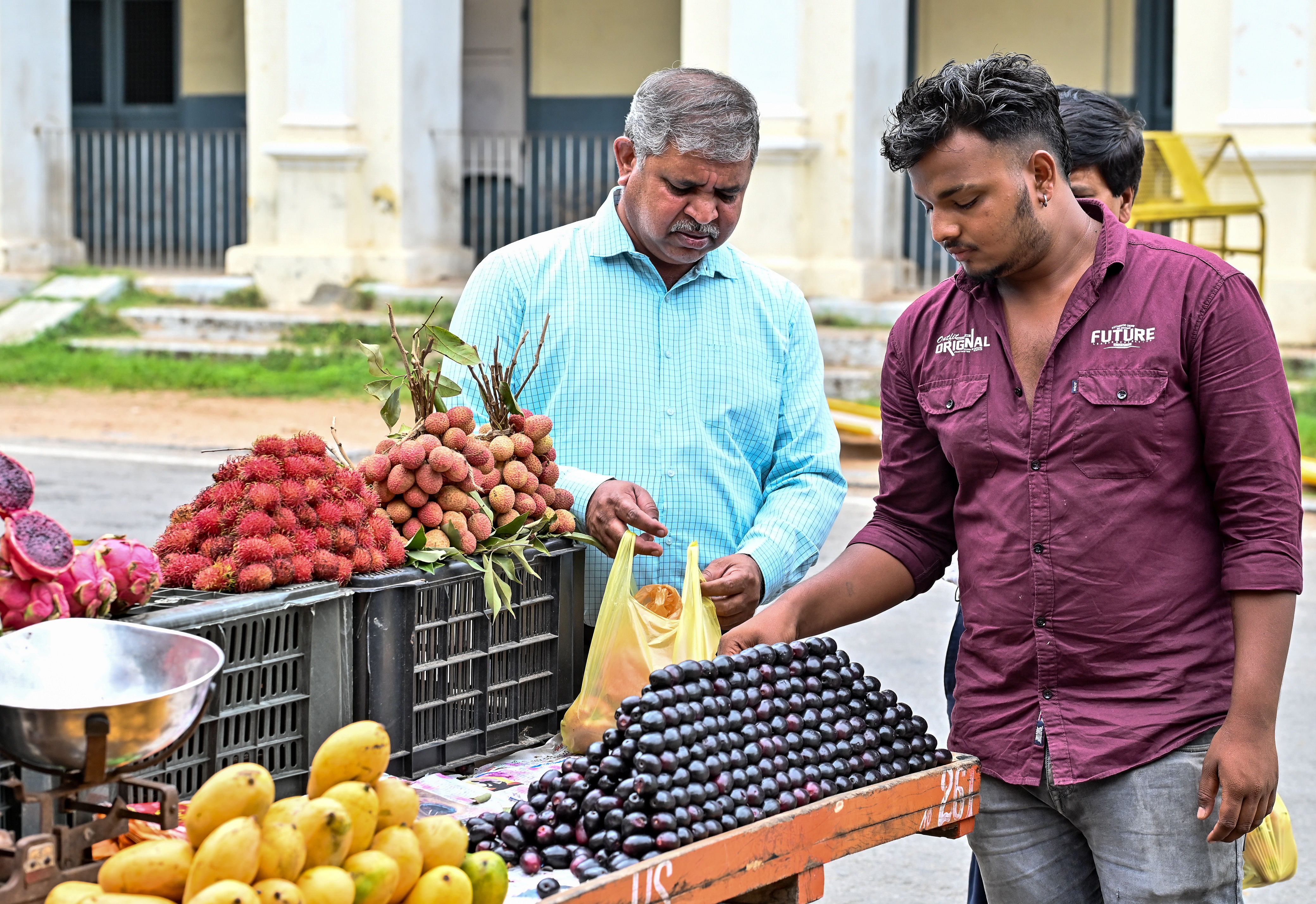 ಜಿಲ್ಲಾಧಿಕಾರಿ ಹಳೇ ಕಚೇರಿ ಬಳಿ ಮಂಗಳವಾರ ನೇರಳೆ ಹಣ್ಣು ಖರೀದಿಯಲ್ಲಿ ತೊಡಗಿದ್ದ ಗ್ರಾಹಕರು –ಪ್ರಜಾವಾಣಿ ಚಿತ್ರ/ ಅನೂಪ್ ರಾಘ. ಟಿ.