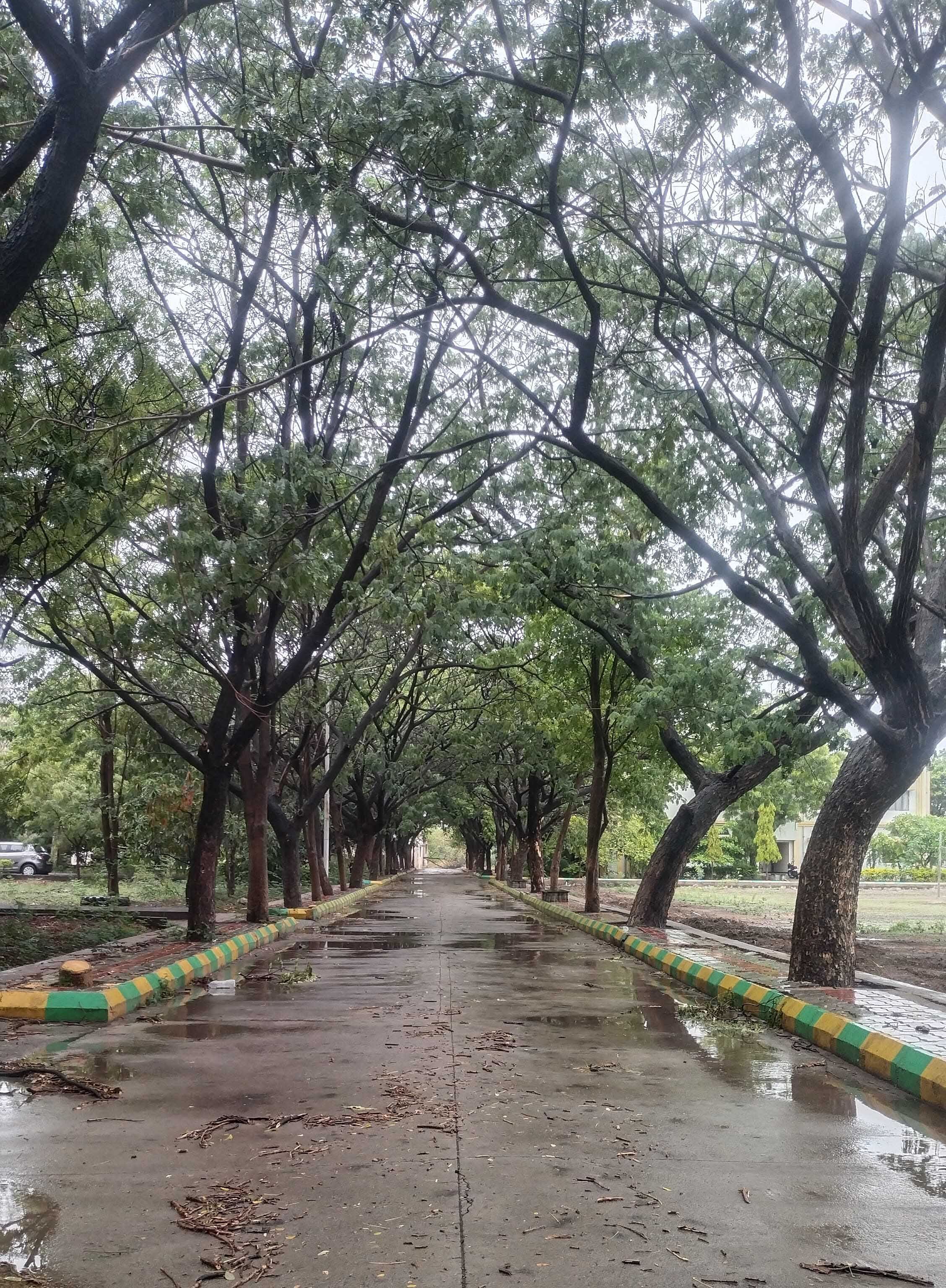 ಕೂಡಲಸಂಗಮದ ಜಿಟಿಟಿಸಿ ಕೇಂದ್ರದ ಆವರಣ ಹಸಿರಿನಿಂದ ಕೂಡಿರುವುದು