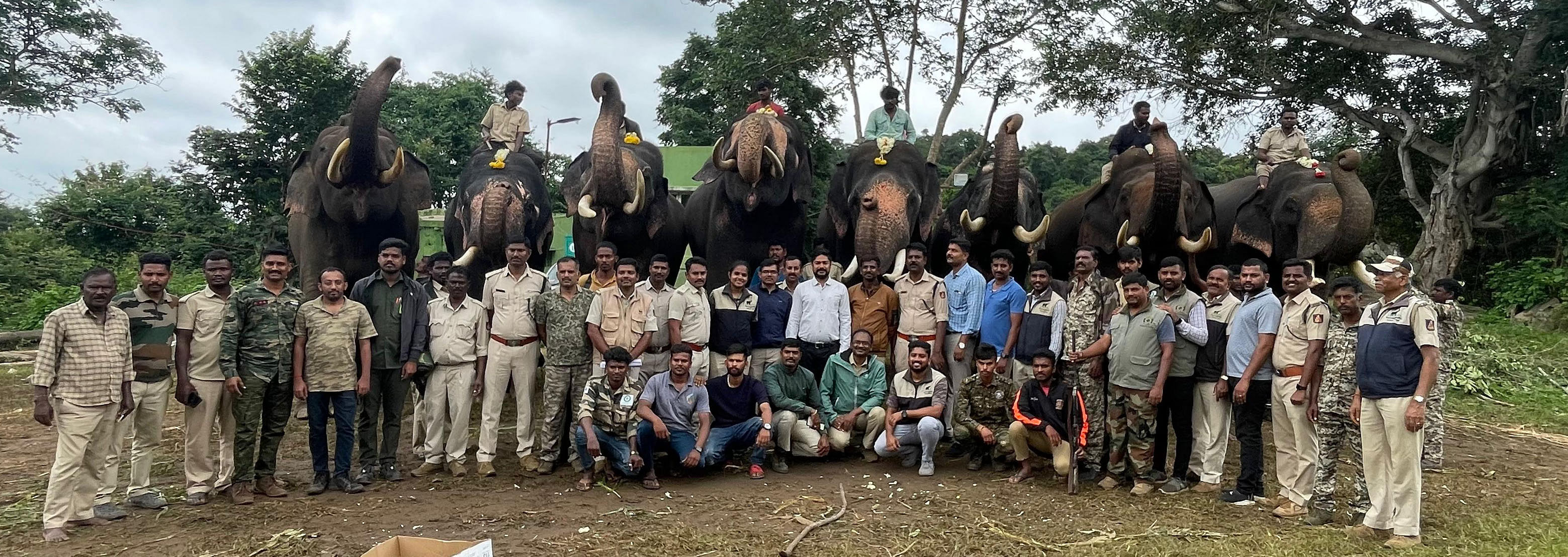 ಬನ್ನೇರುಘಟ್ಟದಲ್ಲಿ ಆಪರೇಷನ್ ಮಕ್ನಾ ಯಶಸ್ವಿಯಾದ ಹಿನ್ನೆಲೆಯಲ್ಲಿ ಕುಮ್ಕಿ ಆನೆಗಳಿಗೆ ಬೀಳ್ಕೊಡುಗೆ ನೀಡಲಾಯಿತು