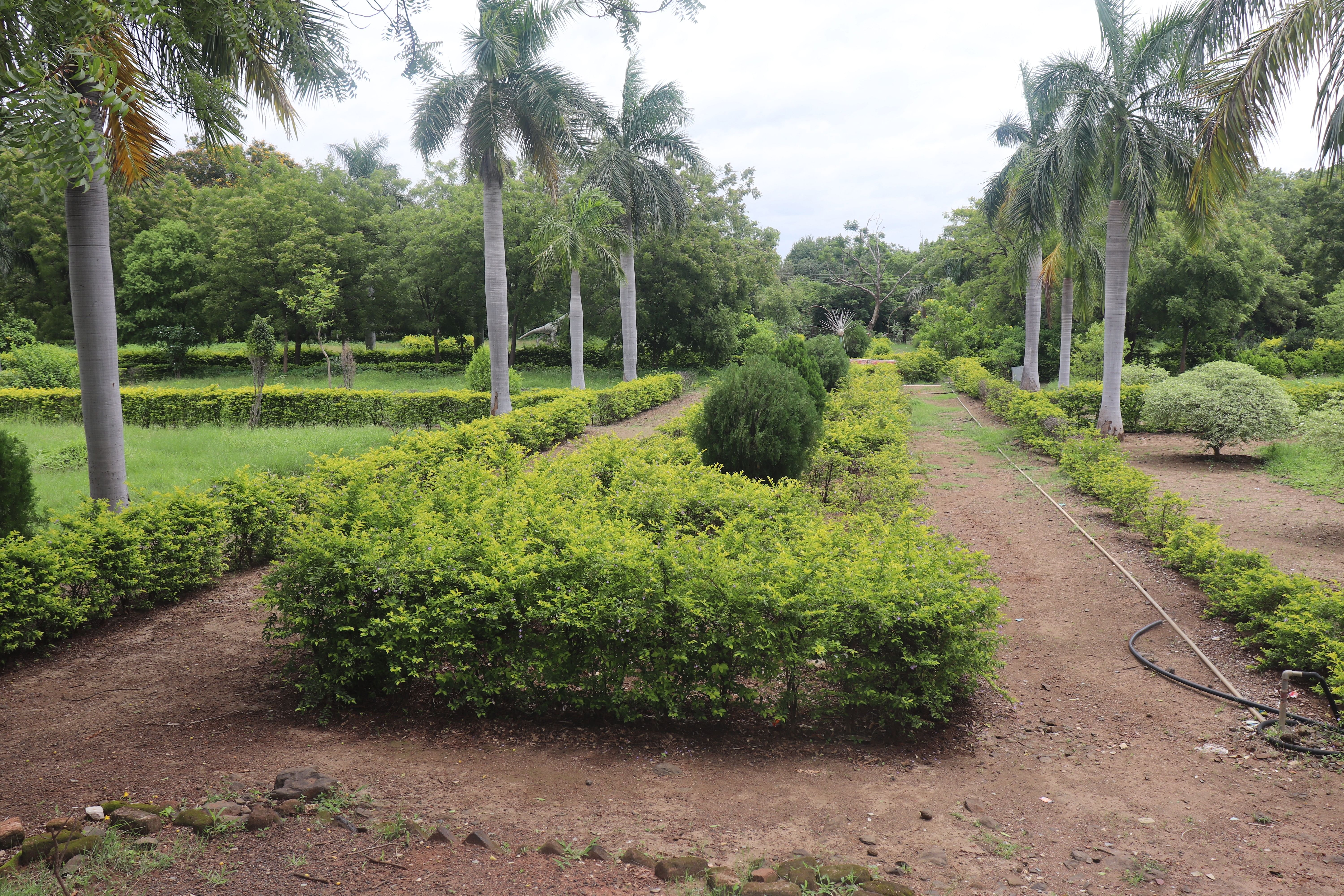 ಗುಲಬರ್ಗಾ ವಿವಿ ಕಾರ್ಯಸೌಧ ಮುಂದಿರುವ ಆಕರ್ಷಕ ಉದ್ಯಾನ