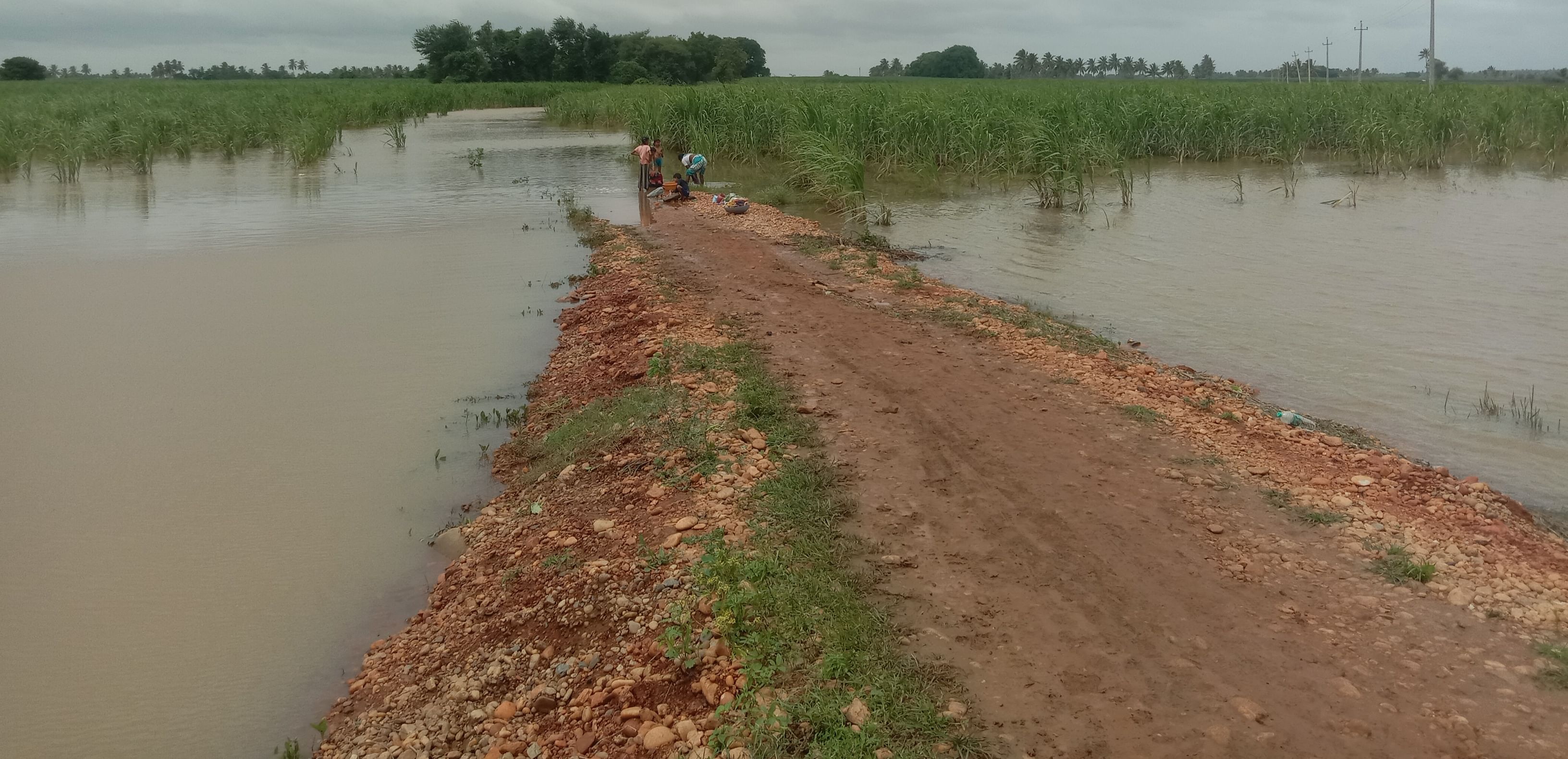 ಗುತ್ತಲ ಸಮೀಪದ ಹಾವನೂರ ಗ್ರಾಮದಲ್ಲಿ ಜಮೀನುಗಳಿಗೆ ನುಗ್ಗಿರುವ ತುಂಗಭದ್ರಾ ನದಿ