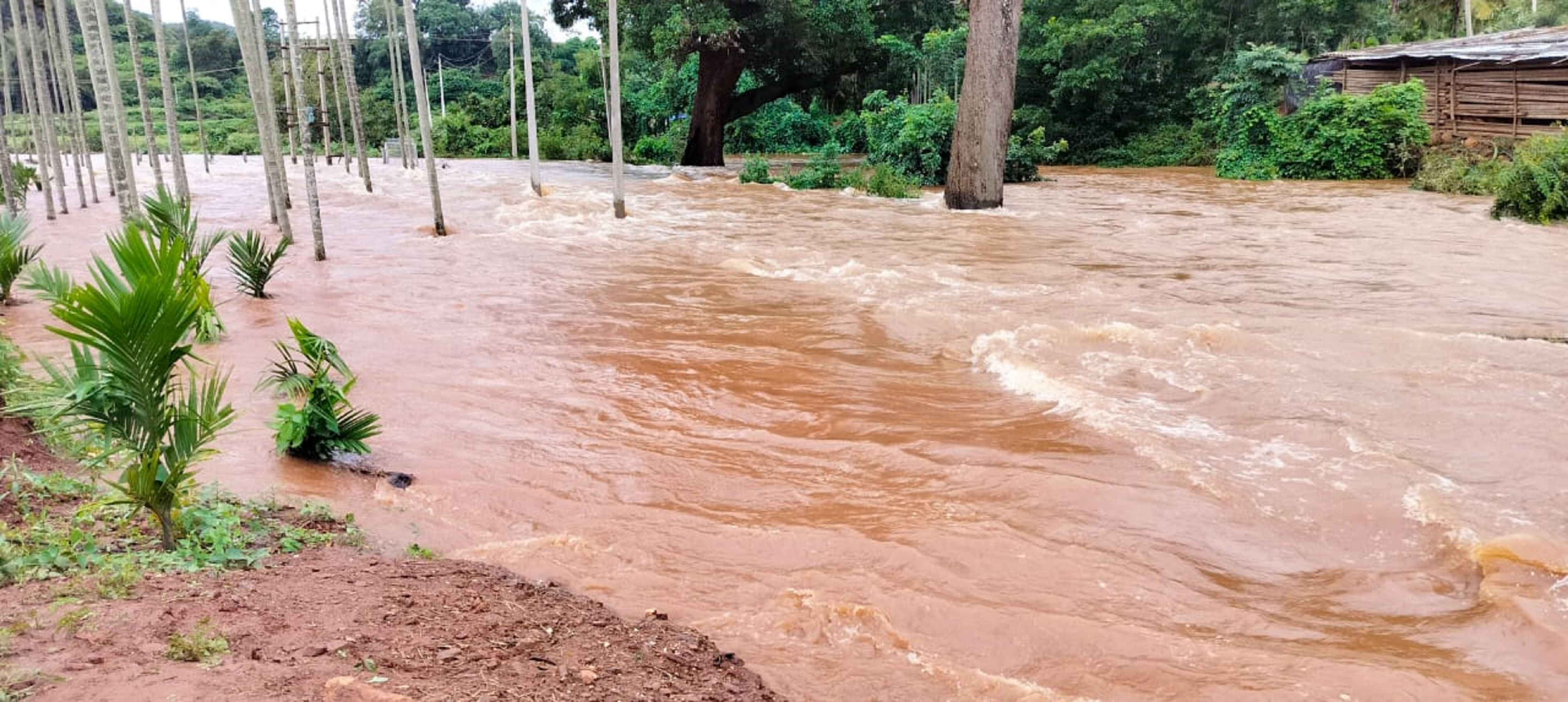  ಮದಗದಕೆರೆಯ ಕಾಲುವೆ ಮೂಲಕ ಹರಿಯುವ ನೀರು ಶನಿವಾರ ತೋಟಗಳಿಗೆ ನುಗ್ಗಿತು