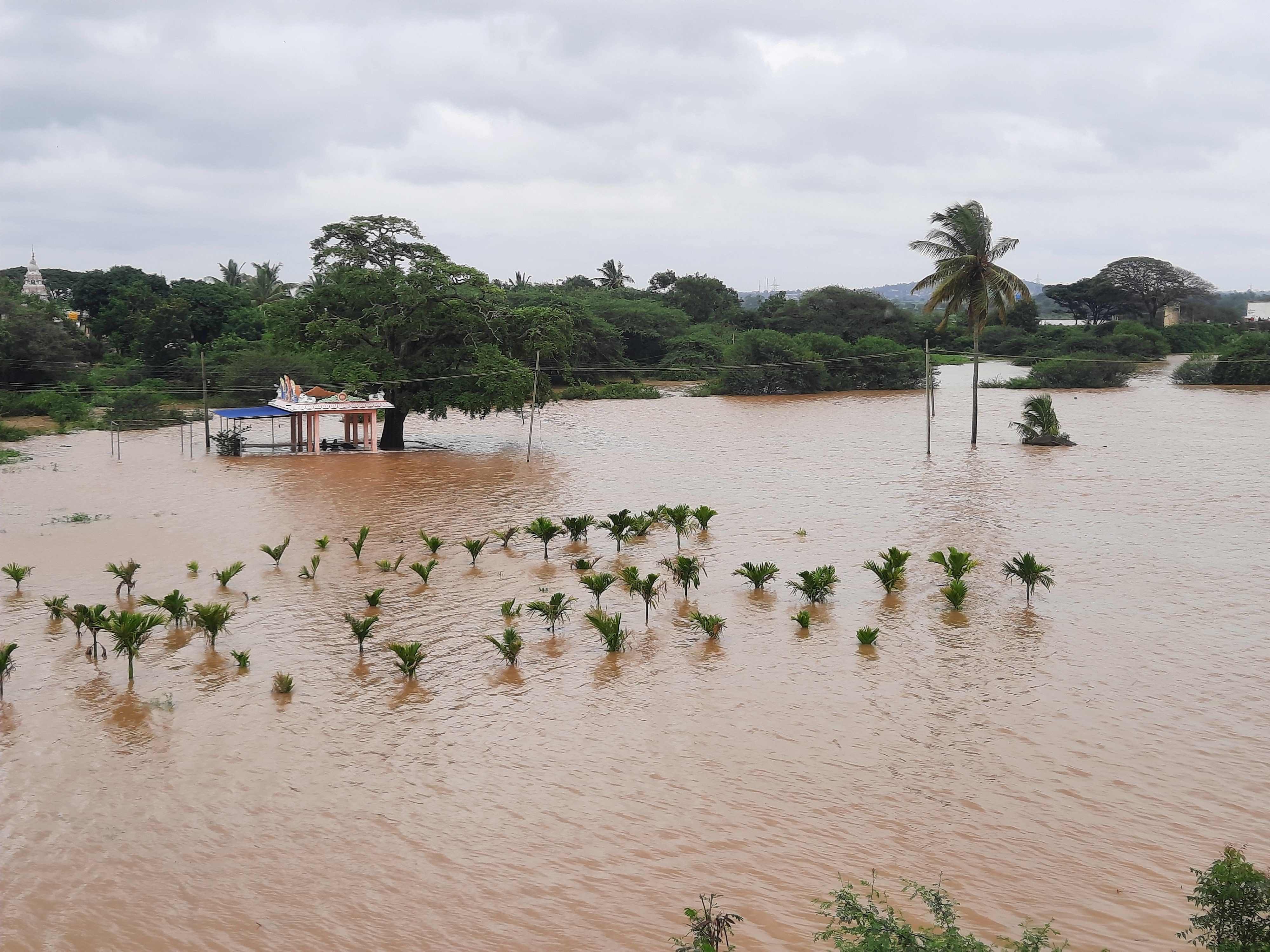 ಹಾವೇರಿ ತಾಲ್ಲೂಕಿನ ಕುಣಿಮೆಳ್ಳಿಹಳ್ಳಿ ಬಳಿ ವರದಾ ನದಿಯ ನೀರು ಅಡಿಕೆ ಜಮೀನಿಗೆ ನುಗ್ಗಿರುವುದು