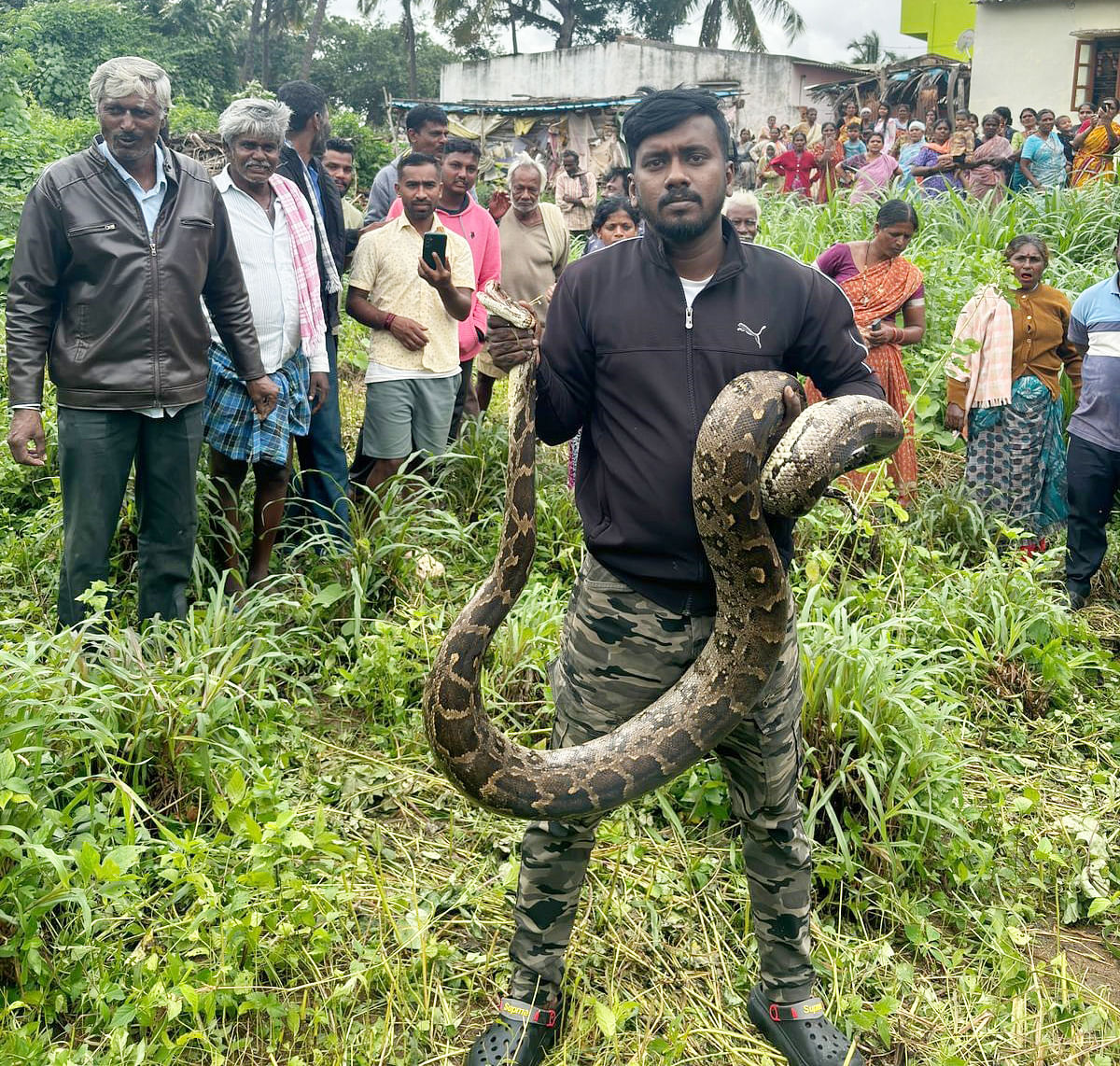 ತುಮಕೂರು ತಾಲ್ಲೂಕಿನ ಅಯ್ಯನಪಾಳ್ಯ ಗ್ರಾಮದ ಹೊರವಲಯದಲ್ಲಿ ಶುಕ್ರವಾರ ಹೆಬ್ಬಾವನ್ನು ಉರಗ ತಜ್ಞ ದಿಲೀಪ್‌ ರಕ್ಷಿಸಿದರು