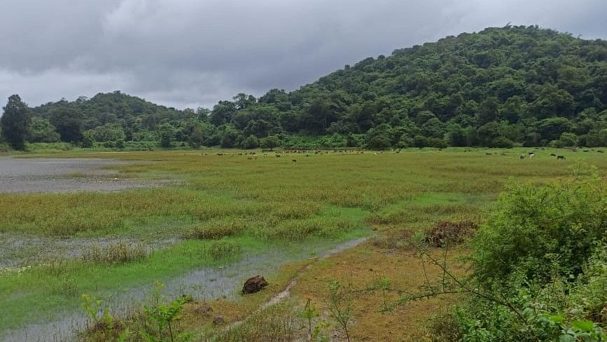 ಬಿ.ಎಚ್‌.ರಸ್ತೆ ಪಥ ಬದಲಾದರೆ ಹೊಸ ರಸ್ತೆ ಹಾಯ್ದು ಹೋಗುವ ಕೊಲ್ಲಿ ಬಚ್ಚಲು ಕೆರೆ ಪ್ರದೇಶದ ನೋಟ