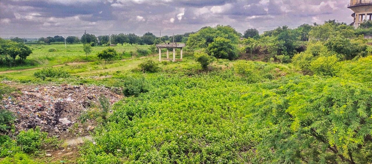 ಹುಲಸೂರ ಪಟ್ಟಣದ ಸ್ಮಶಾನದಲ್ಲಿ ಬೆಳೆದಿರುವ ಗಿಡಗಳು