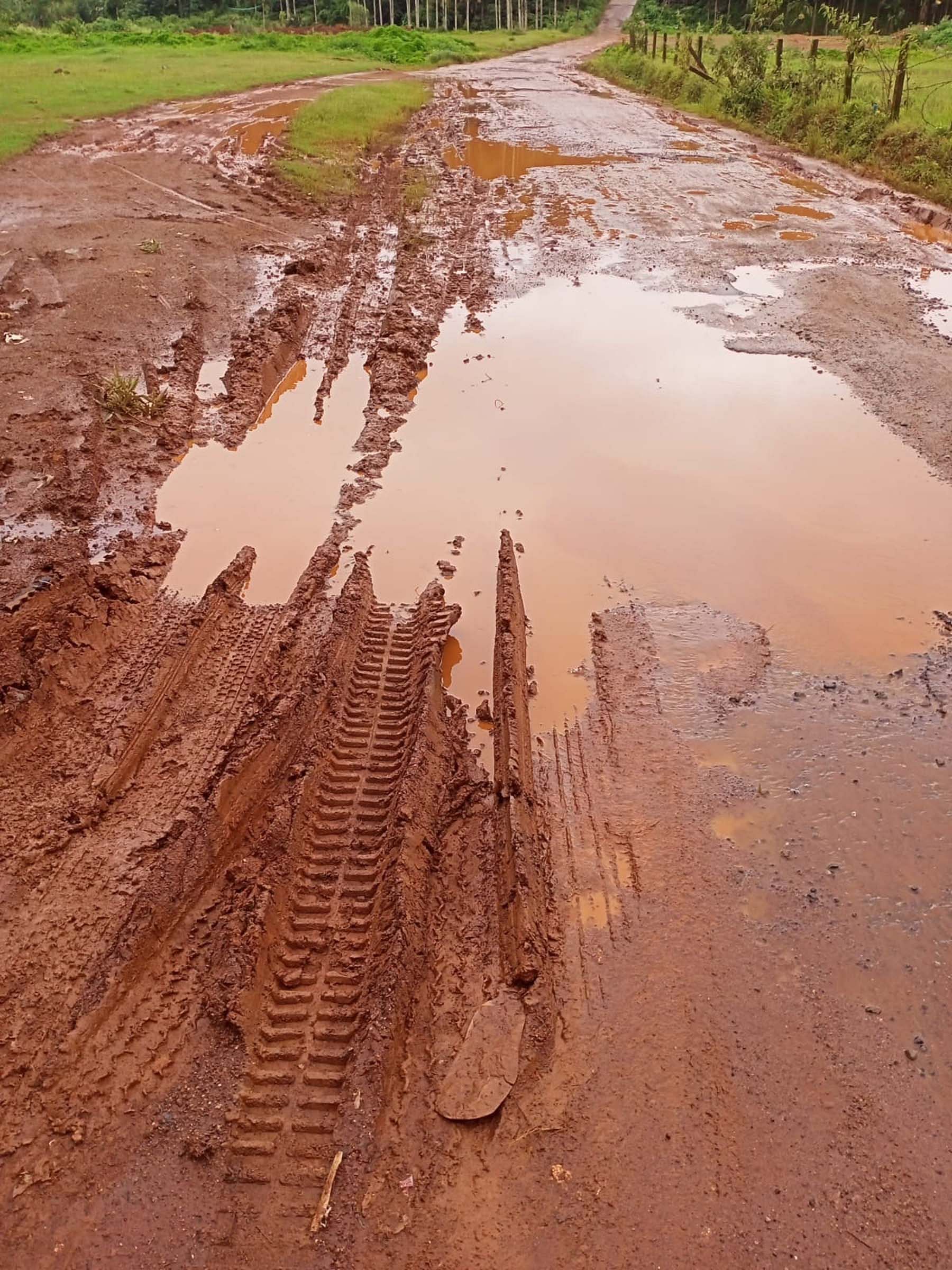 ನಾಪೋಕ್ಲು ಸಮೀಪದ ಕೂರುಳಿ-ಎಮ್ಮೆಮಾಡು ರಸ್ತೆ ಕೆಸರುಮಯವಾಗಿರುವುದು.