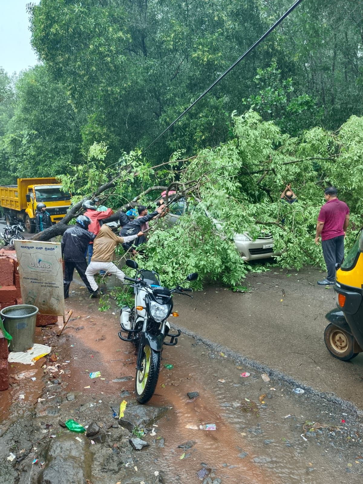 ಕಾರಿನ ಮೇಲೆ ಬಿದ್ದ ಮರವನ್ನು ಸ್ಥಳೀಯರು ತೆರವುಗೊಳಿಸಿದರು