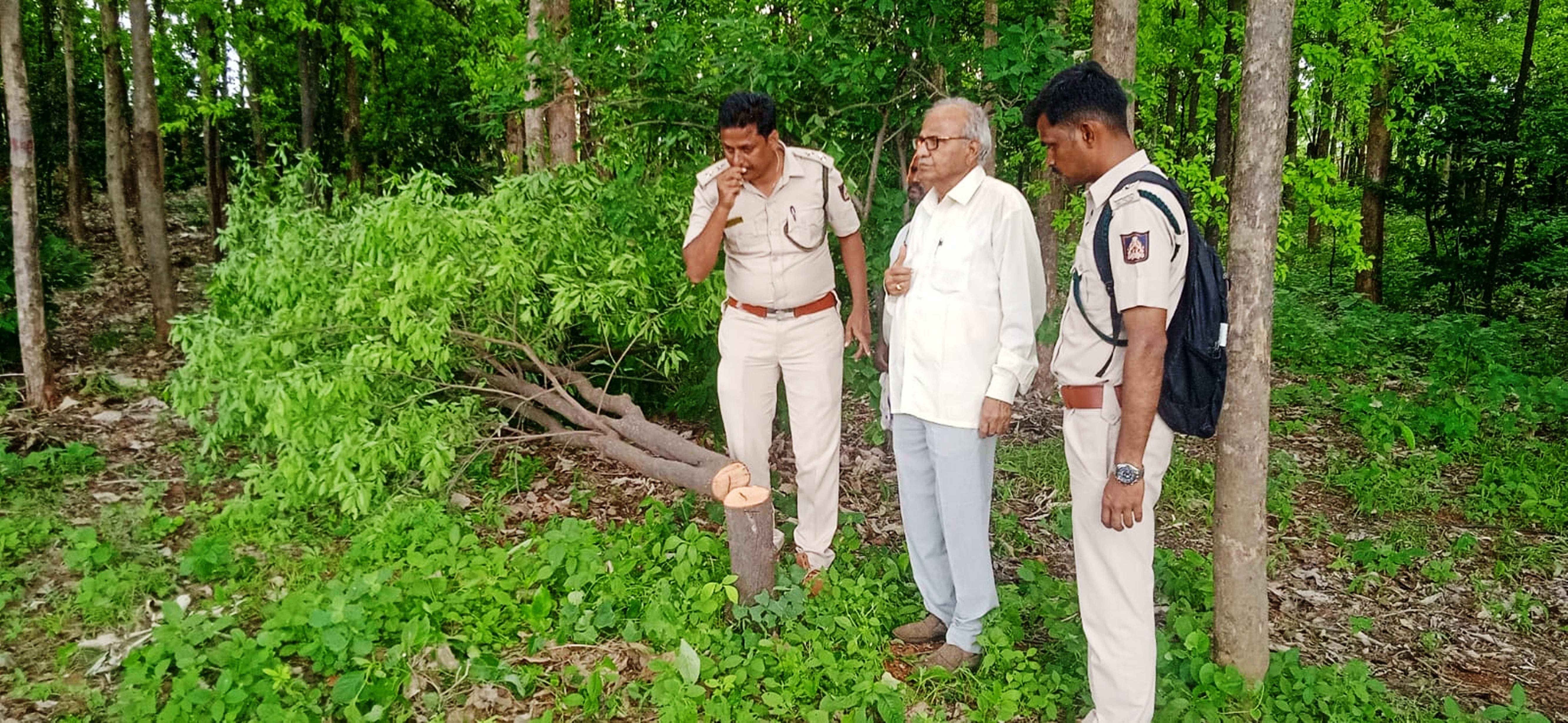 ಗಂಧದ ಗಿಡಗಳು ಕಳುವಾಗಿರುವ ಕುಷ್ಟಗಿ ತಾಲ್ಲೂಕು ನಡವಲಕೊಪ್ಪ ಬಳಿ ಶಿವನಗುತ್ತಿ ಎಂಬುವವರ ತೋಟದಲ್ಲಿ ಅರಣ್ಯ ಅಧಿಕಾರಿಗಳು ಪರಿಶೀಲನೆ ನಡೆಸಿದರು