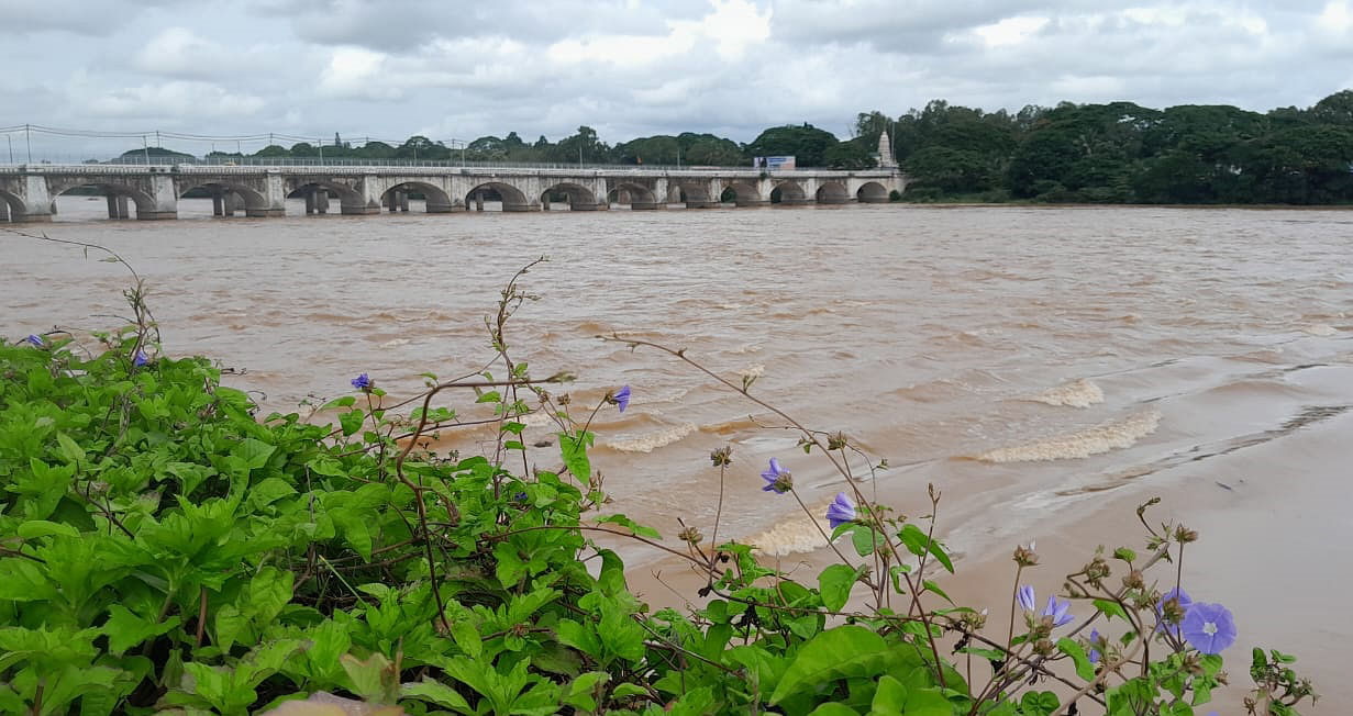 ಶಿವಮೊಗ್ಗ ನಗರದಲ್ಲಿ ತುಂಗಾ ನದಿ ಗುರುವಾರ ಅಪಾಯದ ಮಟ್ಟದಲ್ಲಿ ಹರಿಯುತ್ತಿದೆ