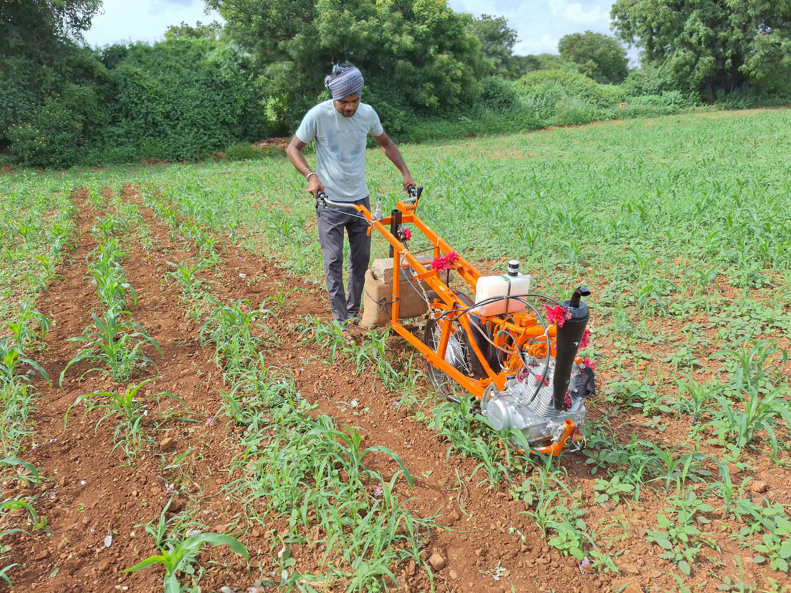 ಹೂವಿನಹಡಗಲಿ ತಾಲ್ಲೂಕು ಸೋಗಿ ಗ್ರಾಮದ ಯುವ ಕೃಷಿಕ ಶಿವಸಿಂಪಿಗರ ಅಜ್ಜಯ್ಯ ಎಂಜಿನ್ ಆಧಾರಿತ ಎಡೆಕುಂಟೆ ಹೊಡೆಯುತ್ತಿರುವುದು