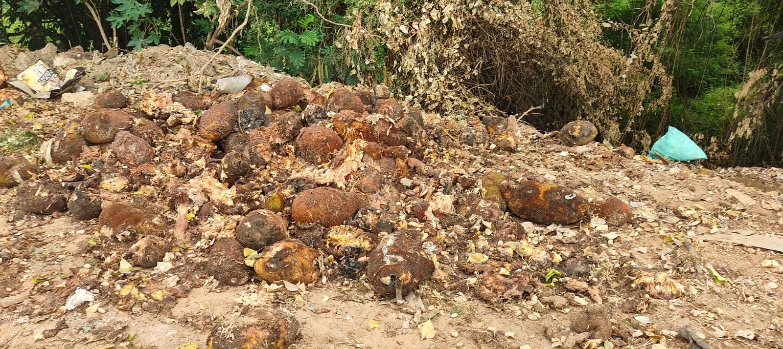 ದೊಡ್ಡ ಕೆರೆ ಮೇಲೆ ಸುರಿದಿರುವ ಕೊಳೆತ ತ್ಯಾಜ್ಯ.