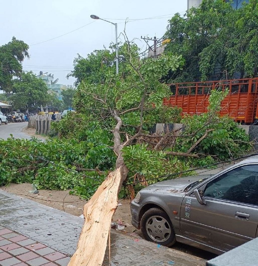 ನಗರದ ಎಂ.ಎಸ್‌. ಪಾಳ್ಯದಲ್ಲಿ ಮರದ ಕೊಂಬೆ ಮುರಿದು ರಸ್ತೆಗೆ ಅಡ್ಡಲಾಗಿ ಬಿದ್ದಿದ್ದರಿಂದ ವಾಹನ ಸಂಚಾರಕ್ಕೆ ತೊಡಕುಂಟಾಯಿತು