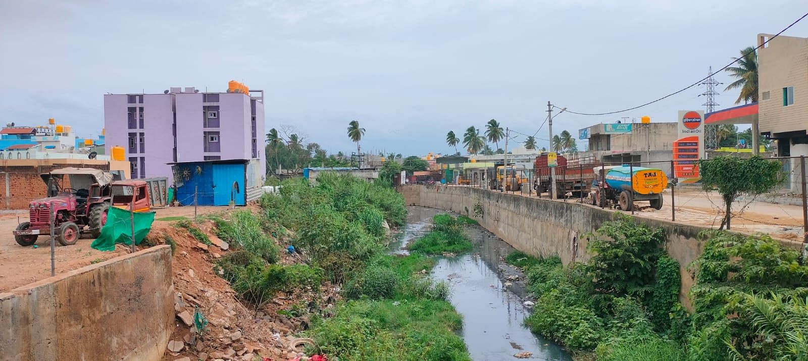 ರಾಮನಗರದ ರೈಲ್ವೆ ಕೆಳ ಸೇತುವೆ ಸಮೀಪದ ರಾಜಕಾಲುವೆಯಲ್ಲಿ ಗಿಡಗಂಟಿ ಬೆಳೆದು ನಿಂತಿರುವುದು
ಪ್ರಜಾವಾಣಿ ಚಿತ್ರ: ಚಂದ್ರೇಗೌಡ