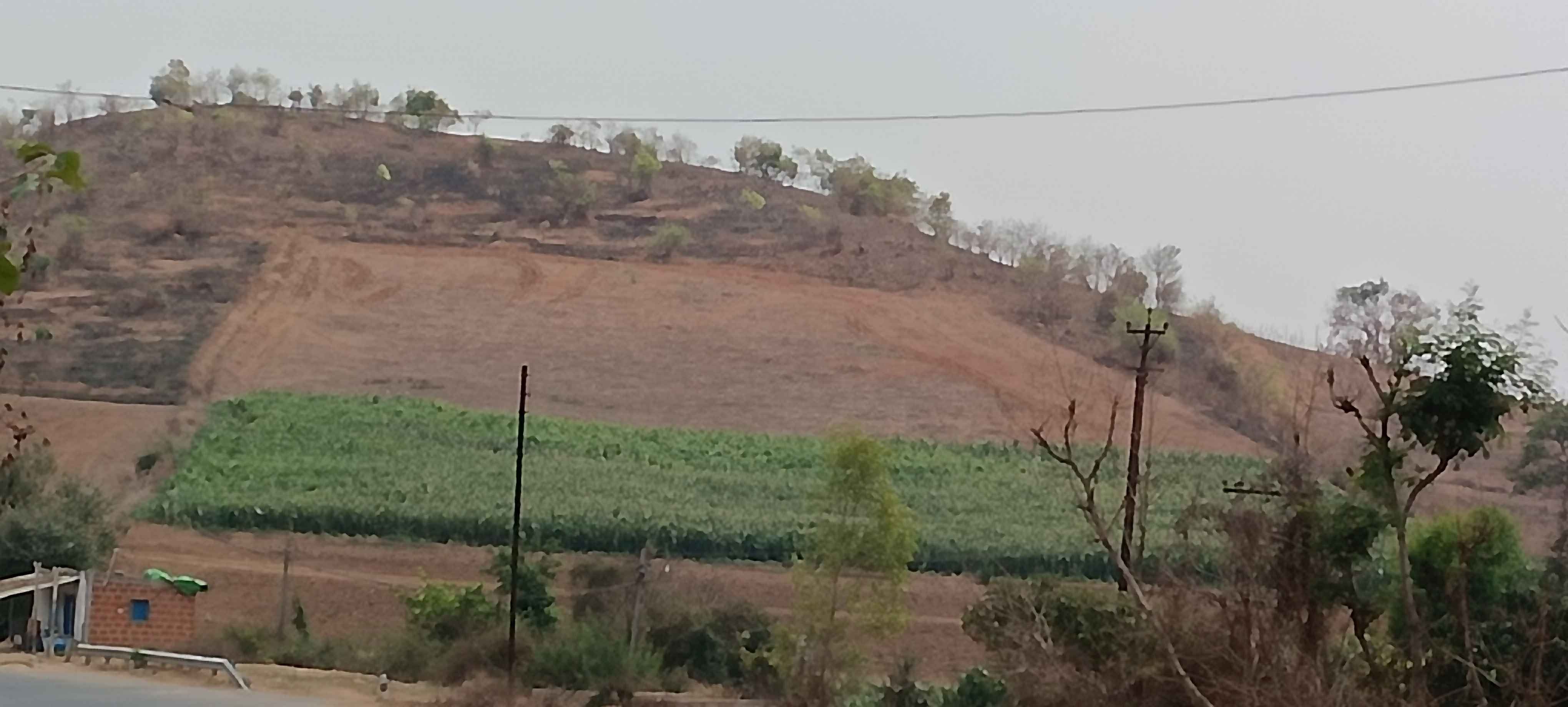 ಗುಡ್ಡಗಳನ್ನು ಕಬಳಿಸುತ್ತಿರುವ ಭೂಒತ್ತುವರಿ ಹಾಗೂ ಅಕ್ರಮ ಬೇಸಾಯ