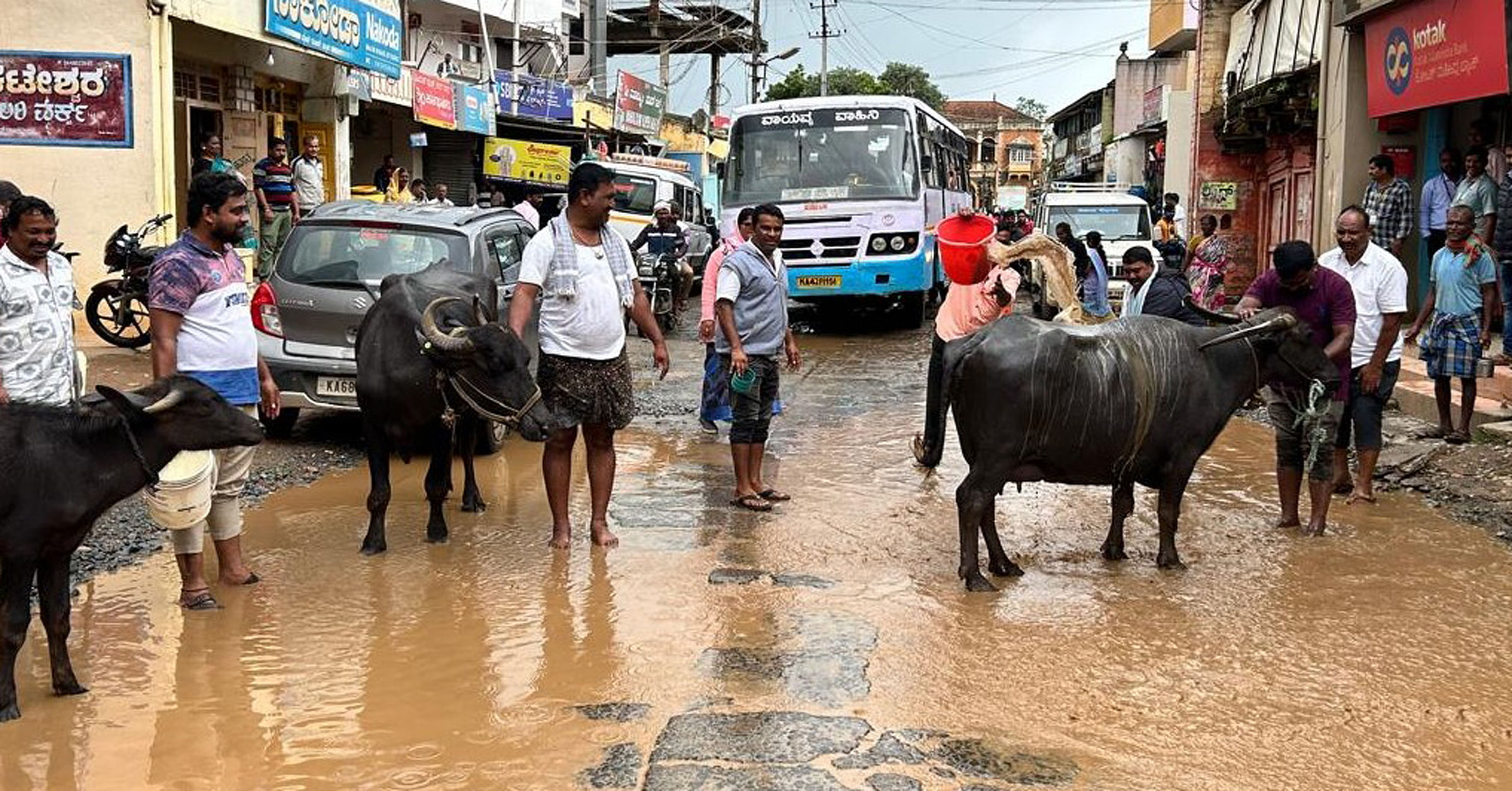 ಕೆರೆಯಂತಾಗಿರುವ ಬ್ಯಾಡಗಿಯ ಮುಖ್ಯ ರಸ್ತೆಯಲ್ಲಿ ಎಮ್ಮೆಗಳ ಮೈತೊಳೆದು ಮುಖ್ಯರಸ್ತೆ ಅಗಲೀಕರಣ ಹೋರಾಟ ಸಮಿತಿ ಸದಸ್ಯರು ವಿನೂತನವಾಗಿ ಪ್ರತಿಭಟನೆ ನಡೆಸಿದರು